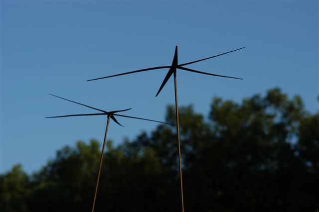 DSC_0064.JPG