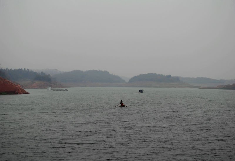 DSC_0389.jpg