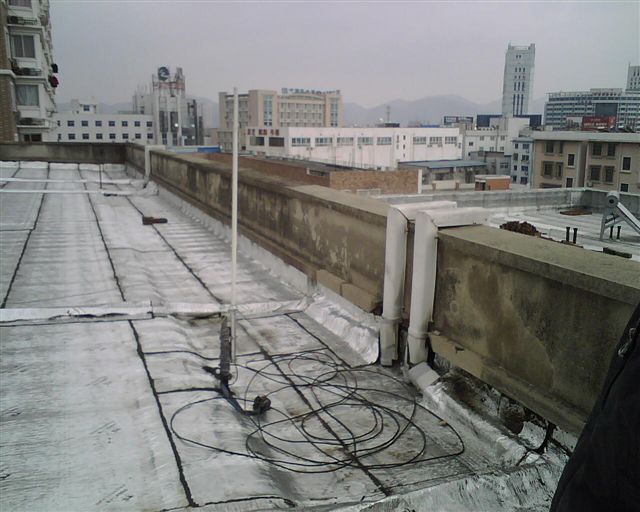 IMG00825.jpg