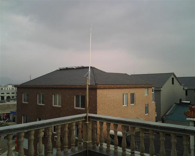 IMG00828.jpg