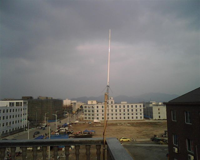 IMG00829.jpg