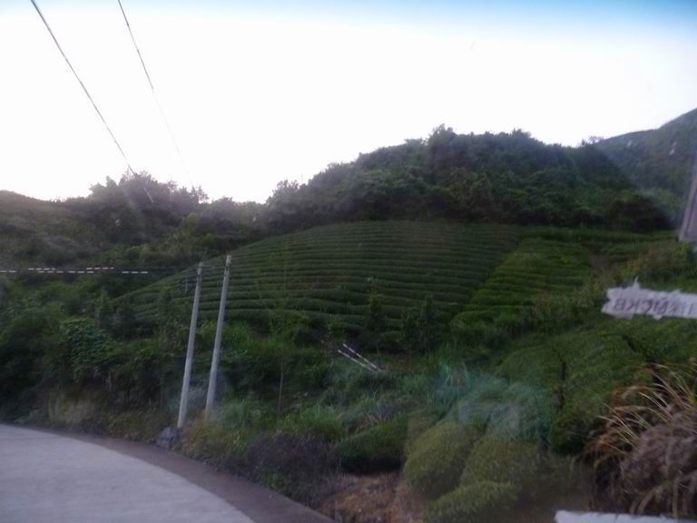 调整大小 P1050298.JPG