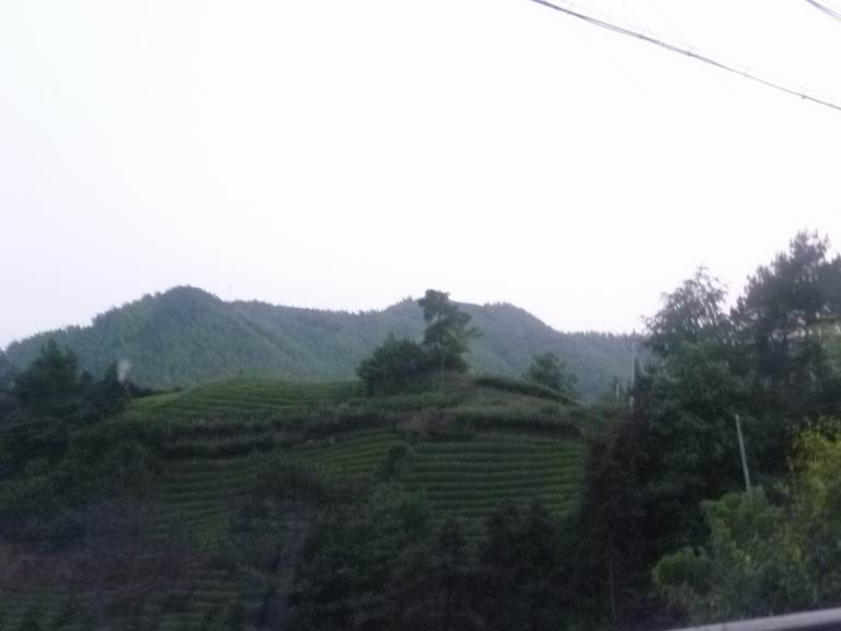 调整大小 P1050303.JPG