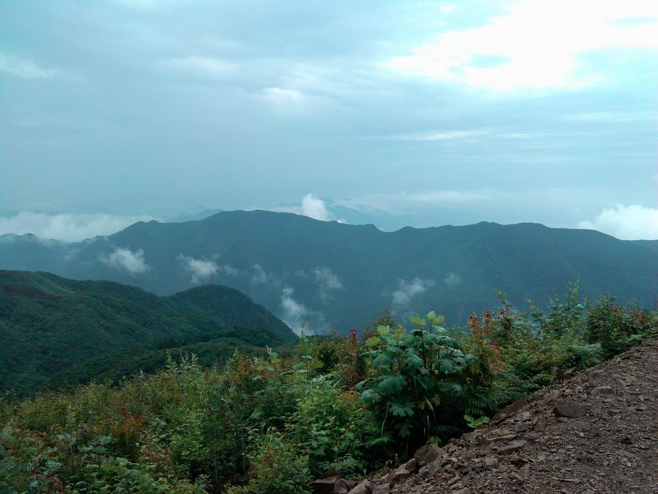 调整大小 IMG_20120609_092622.jpg