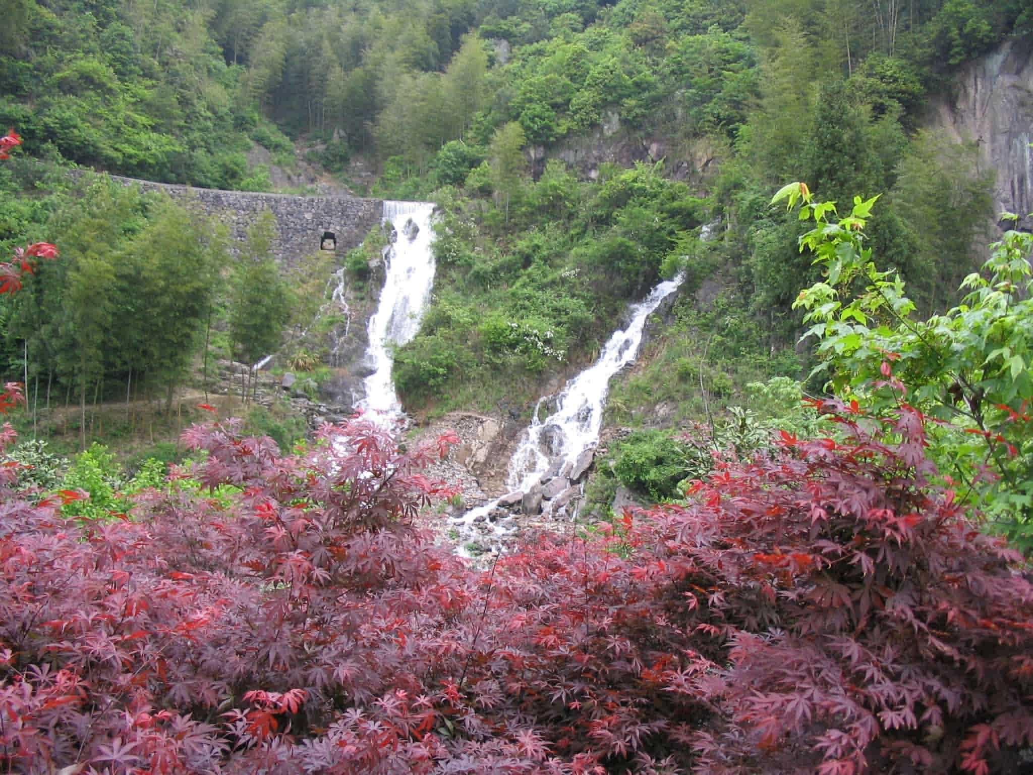 重发去年五五节四明山组图