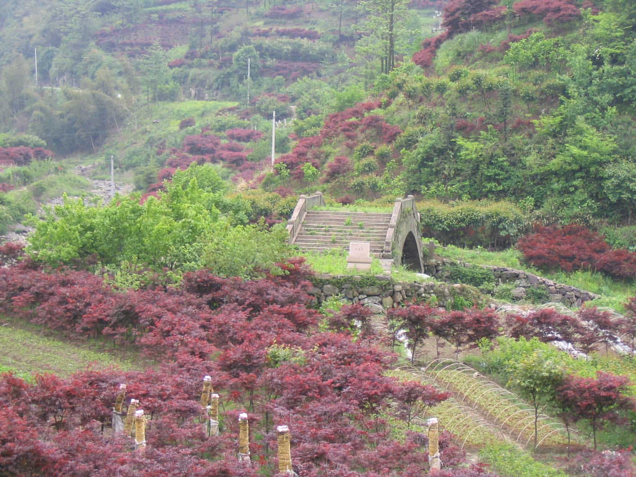 重发去年五五节四明山组图