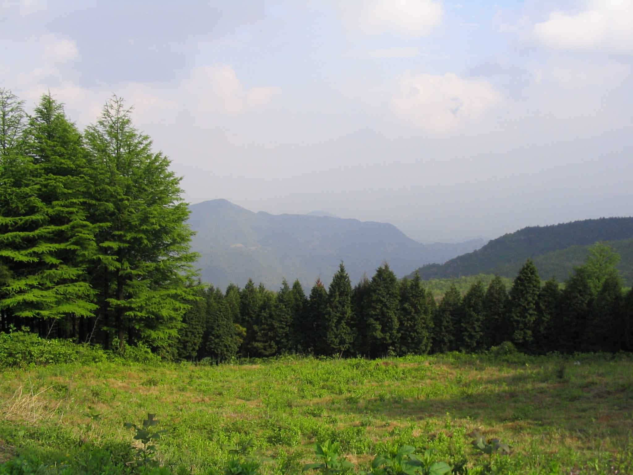 重发去年五五节四明山组图