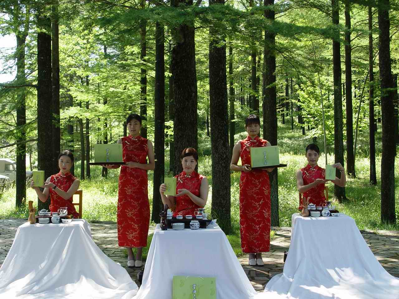 四明山采茶活动大家有兴趣参加吗？