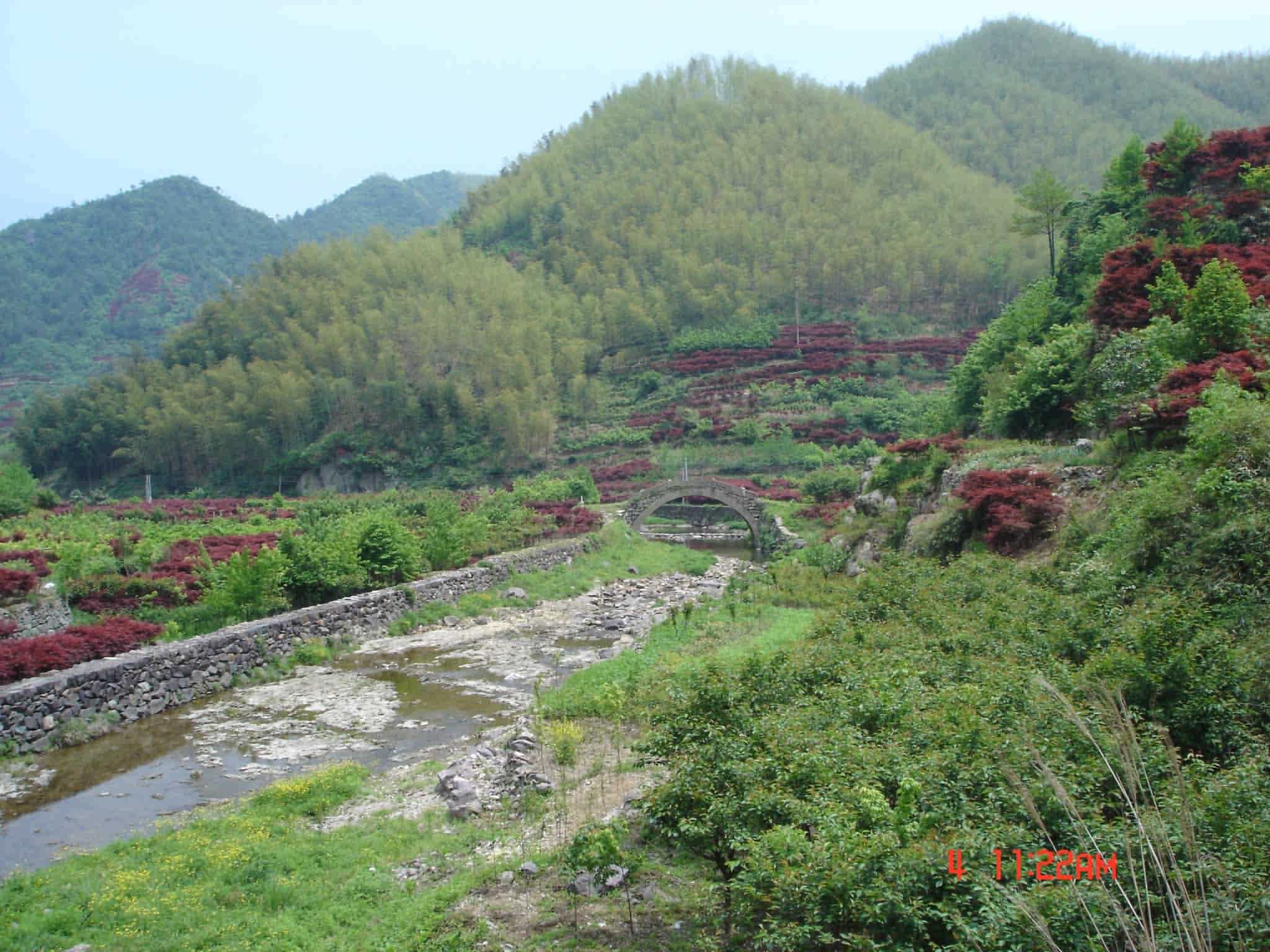 2005年四明山五五节活动PP－风景篇