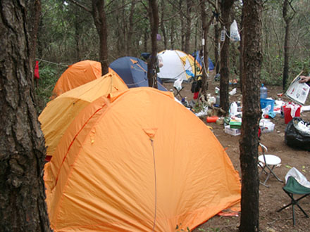 伏龙山照片我也发