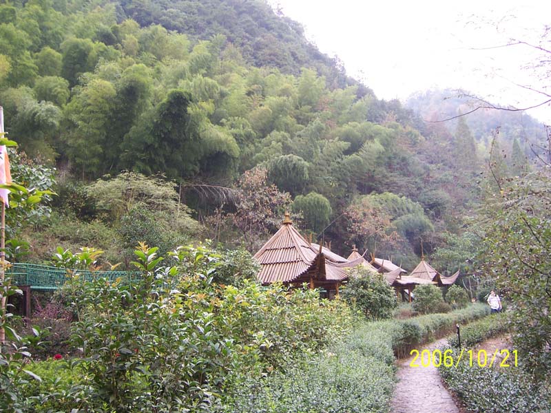 四明山FB图片报道(丹山赤水和6944)