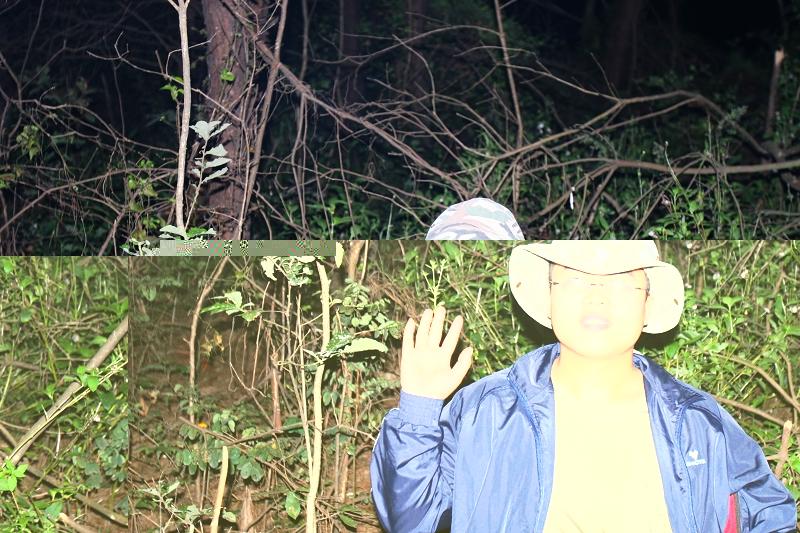 夜上伏龙山