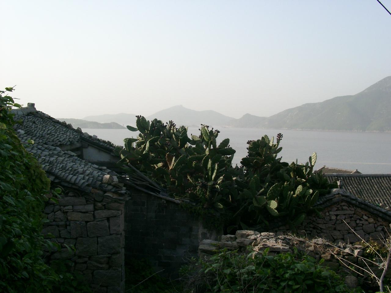 五五活动踩点-虾峙岛