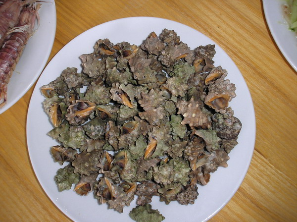 5月5日，今天的美食篇