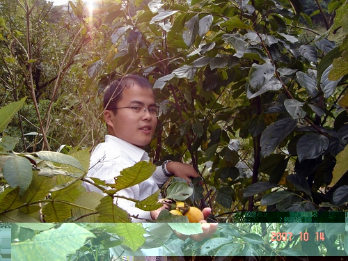 路边的野花不要采，但是野果还是可以采的。。。