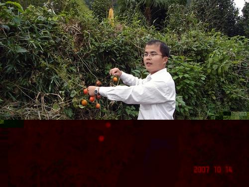 路边的野花不要采，但是野果还是可以采的。。。