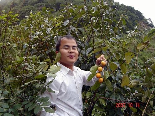 路边的野花不要采，但是野果还是可以采的。。。