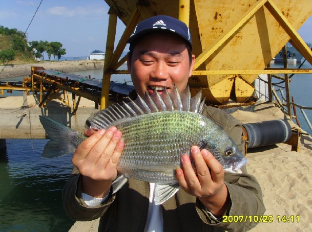 工作压力太大，找了一个钓鱼的行当，哈哈，还是海钓。