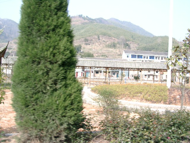 大堰户外赛-风景篇