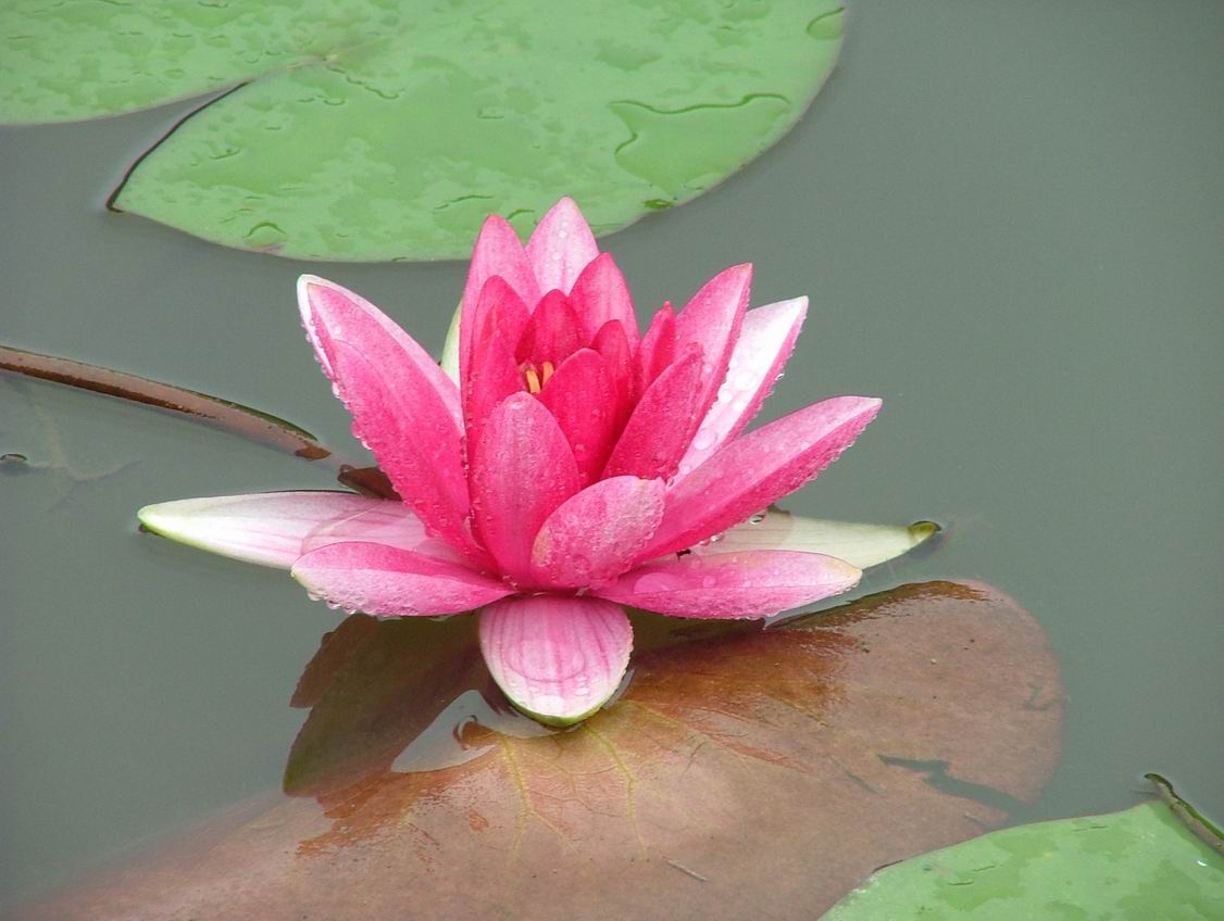 6月22日在毛力水库边上的野外活动