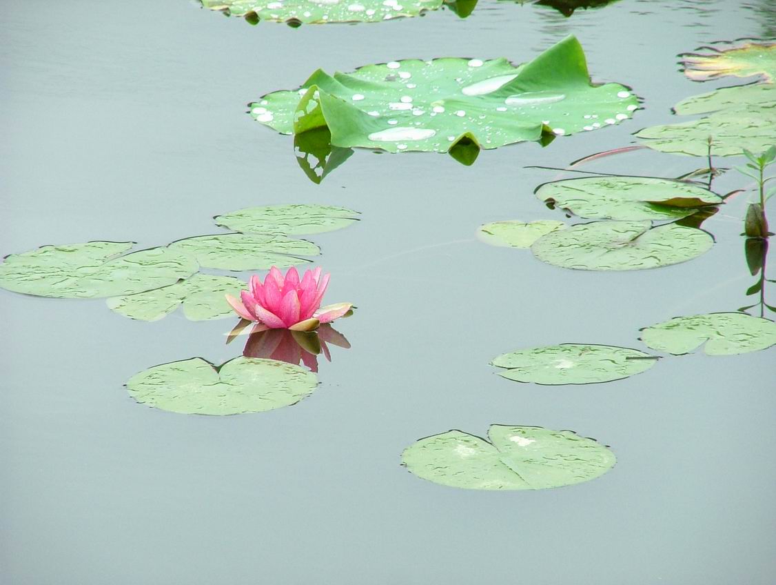 6月22日在毛力水库边上的野外活动