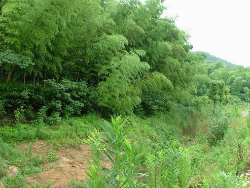 6月22日在毛力水库边上的野外活动