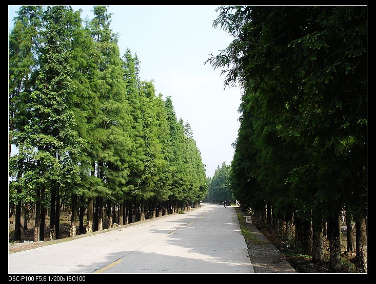 夏日单车60公里看风景