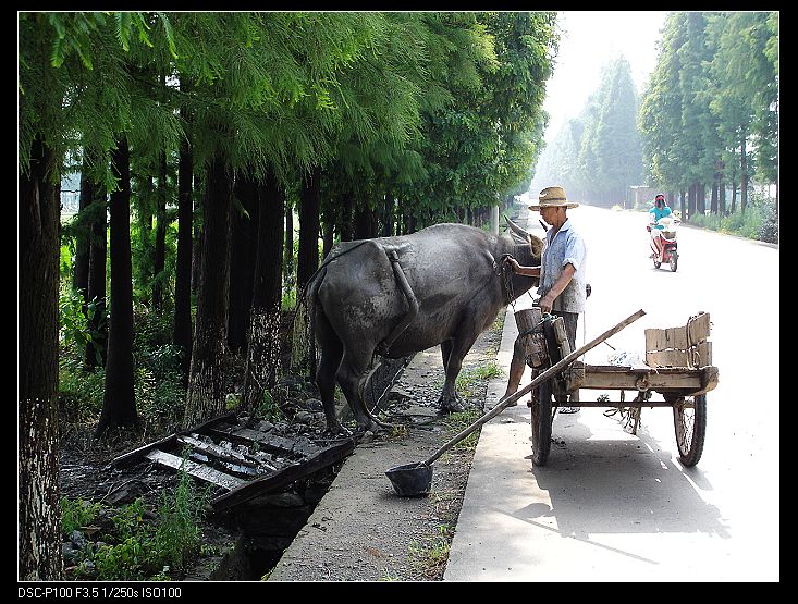 夏日单车60公里看风景