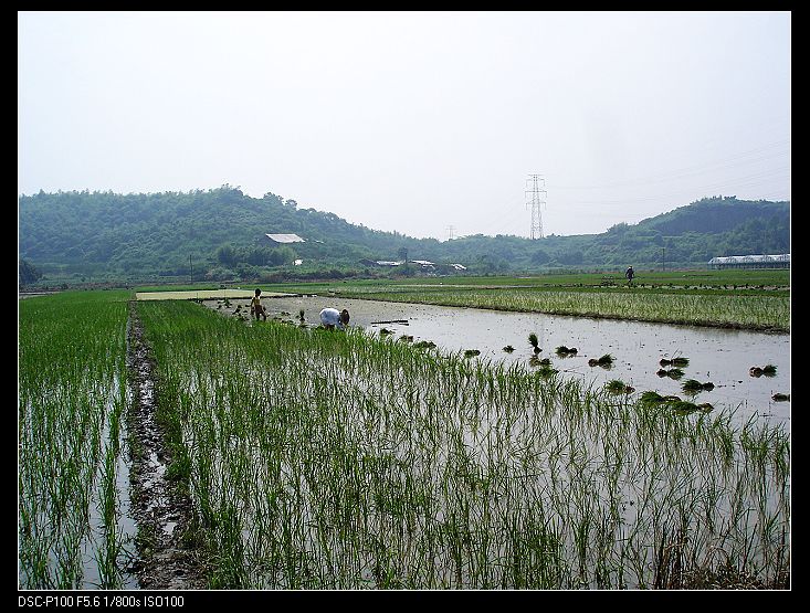 夏日单车60公里看风景