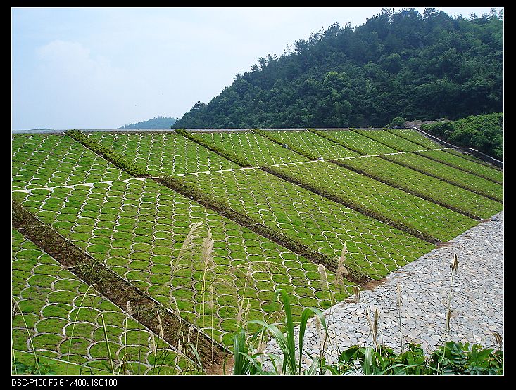夏日单车60公里看风景