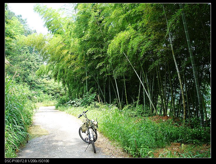 夏日单车60公里看风景