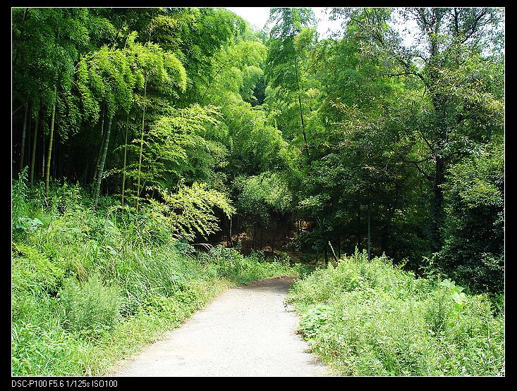 夏日单车60公里看风景