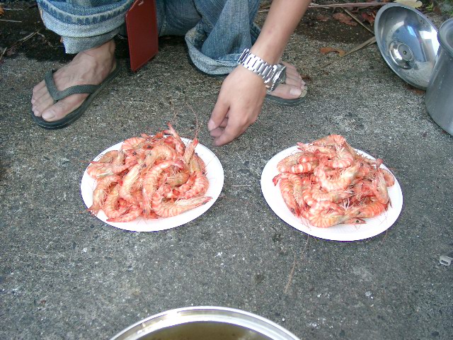 临安活动照片
