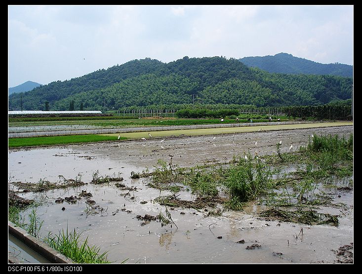 夏日单车60公里看风景