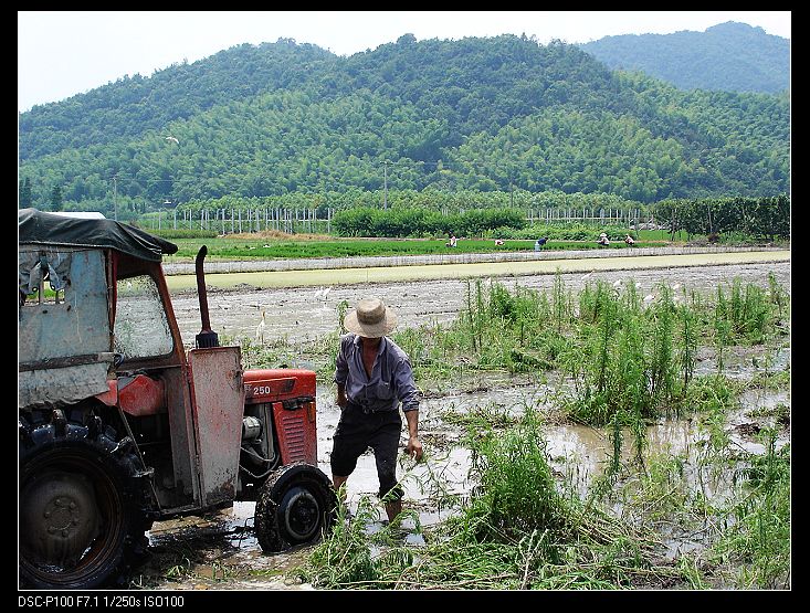 夏日单车60公里看风景