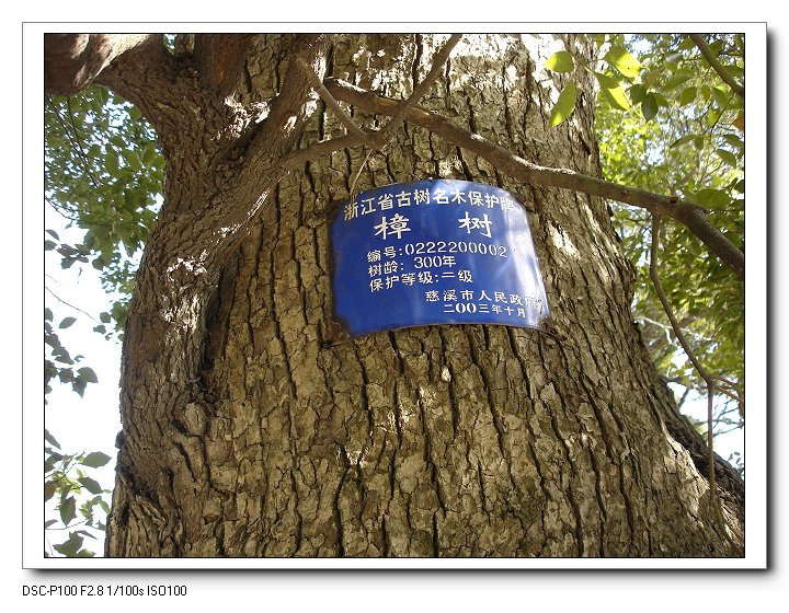 辛苦单骑为哪般  只为儿时一童谣!