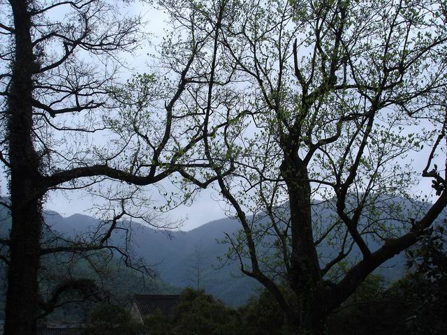 057.JPG