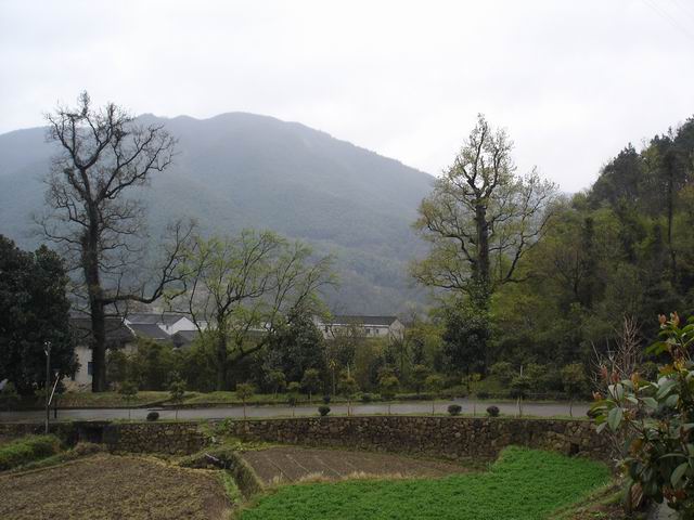 060.JPG