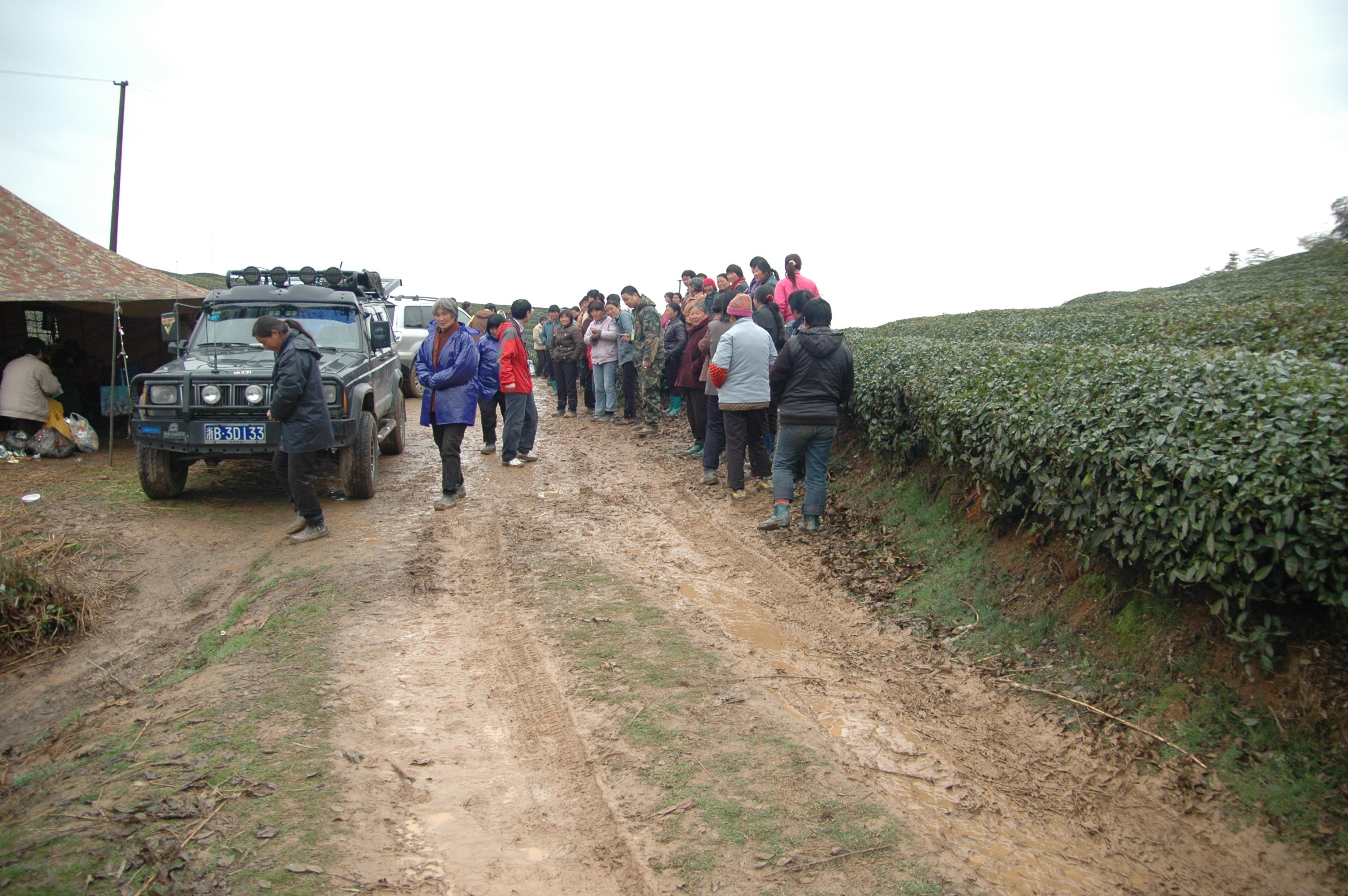 DSC_4319.JPG