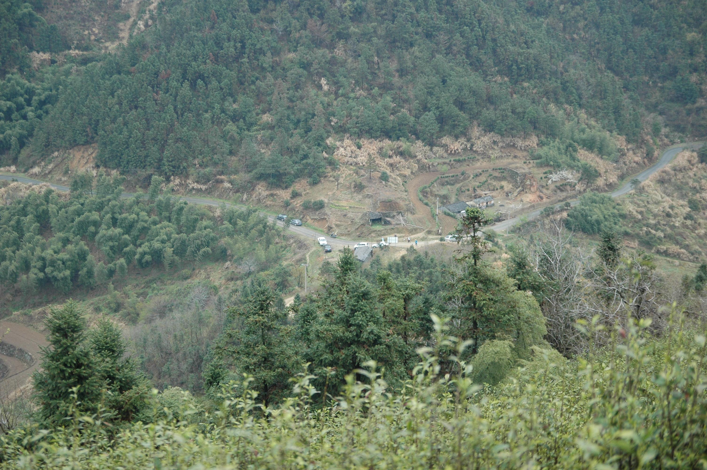 DSC_4330.JPG