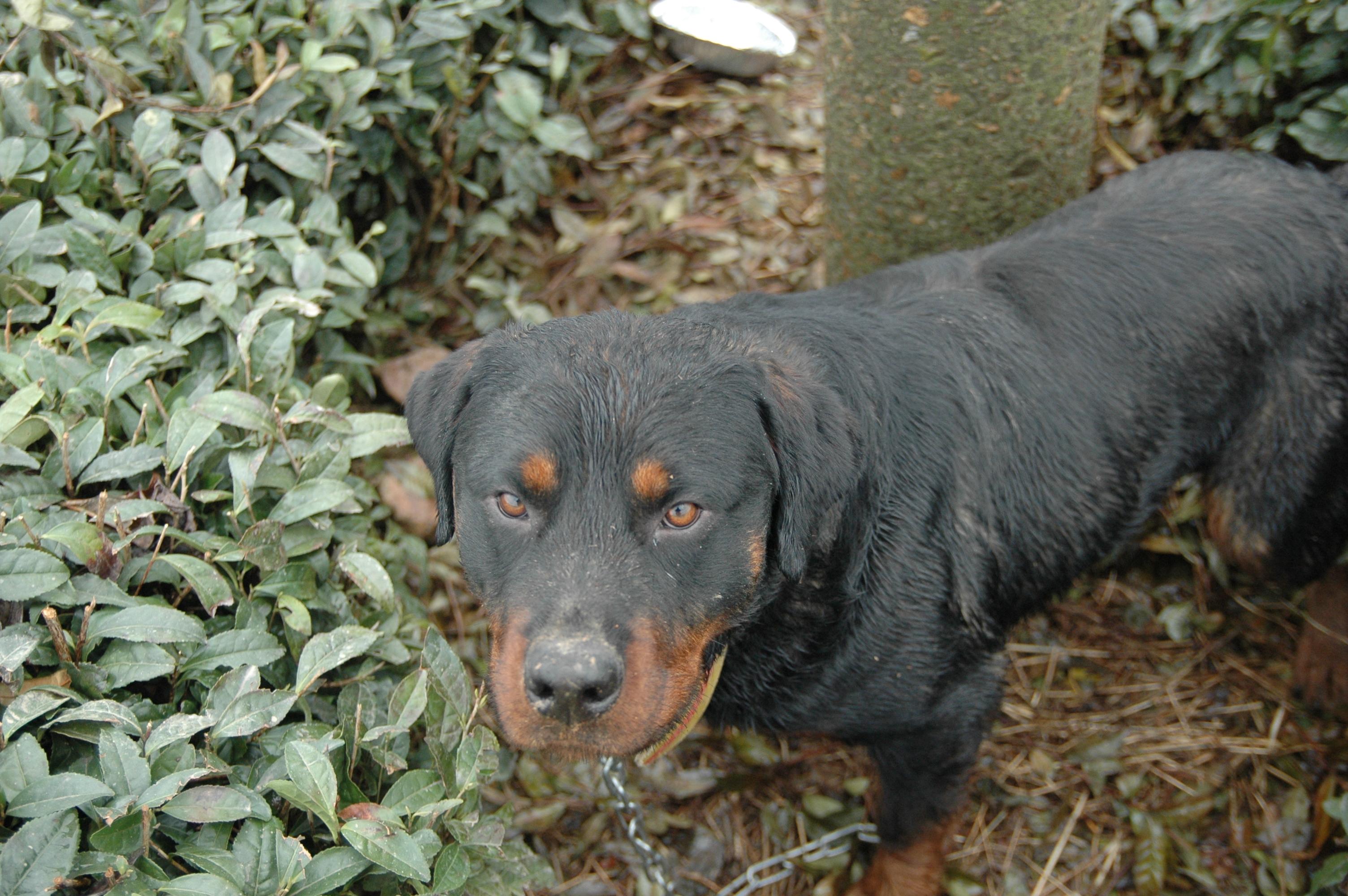 DSC_4344.JPG