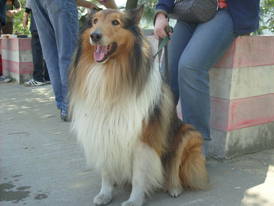 S6301040.jpg