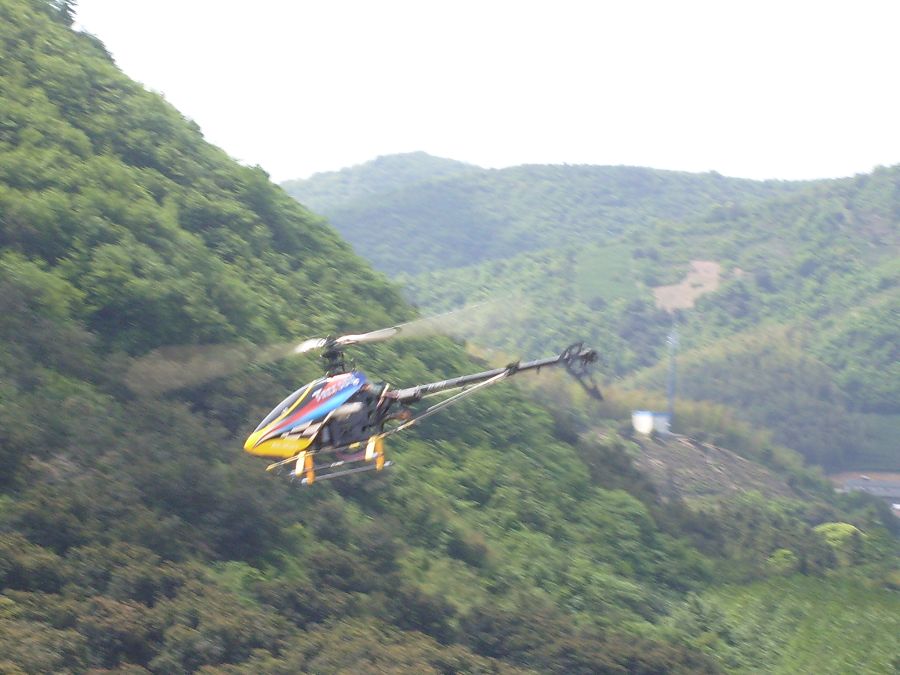 S6301062.jpg