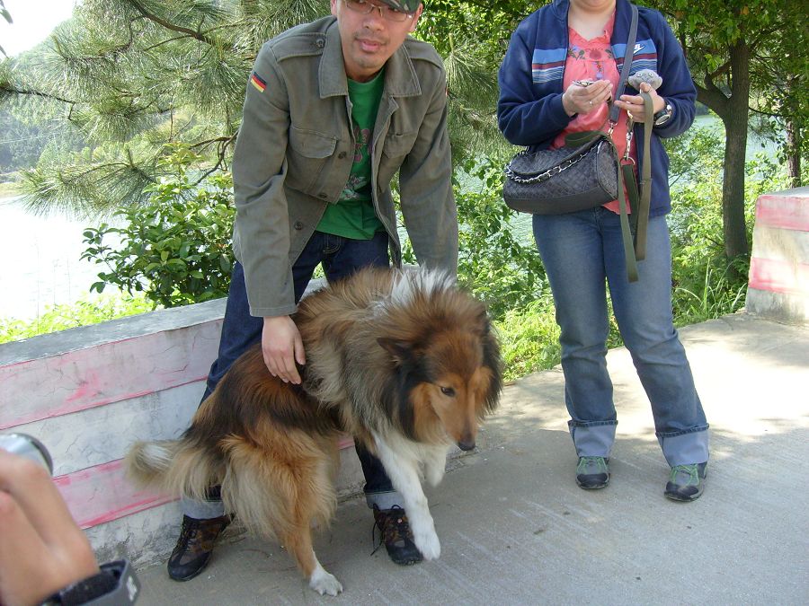 S6301028.jpg