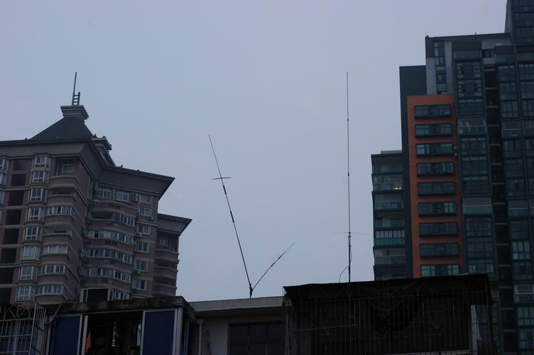 Resize of DSC_5287.JPG
