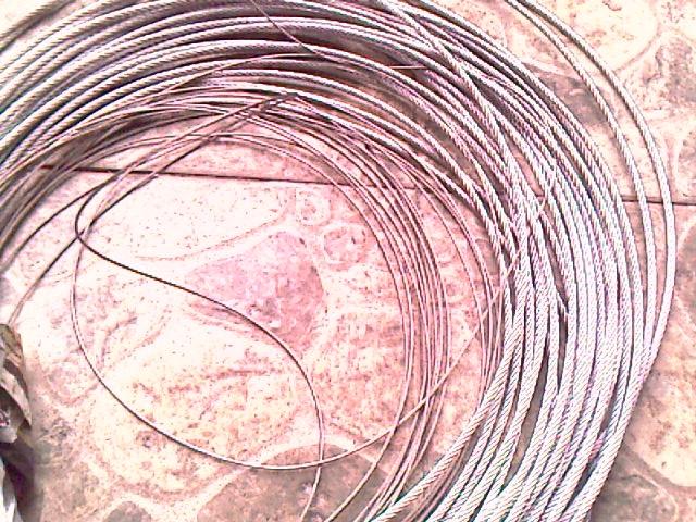 IMAG0175.jpg