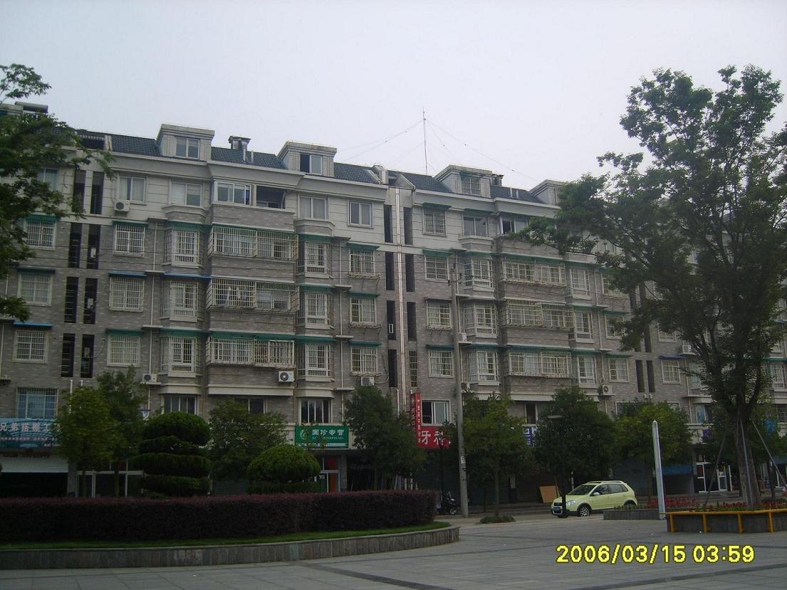 55.JPG