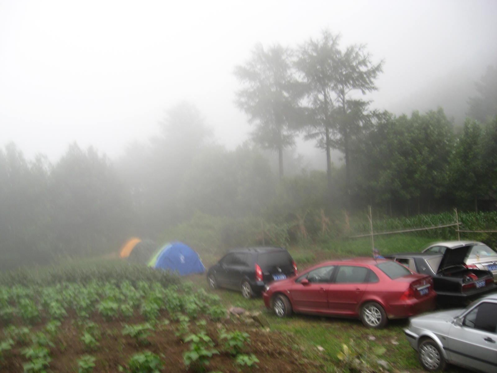IMG_1299.JPG