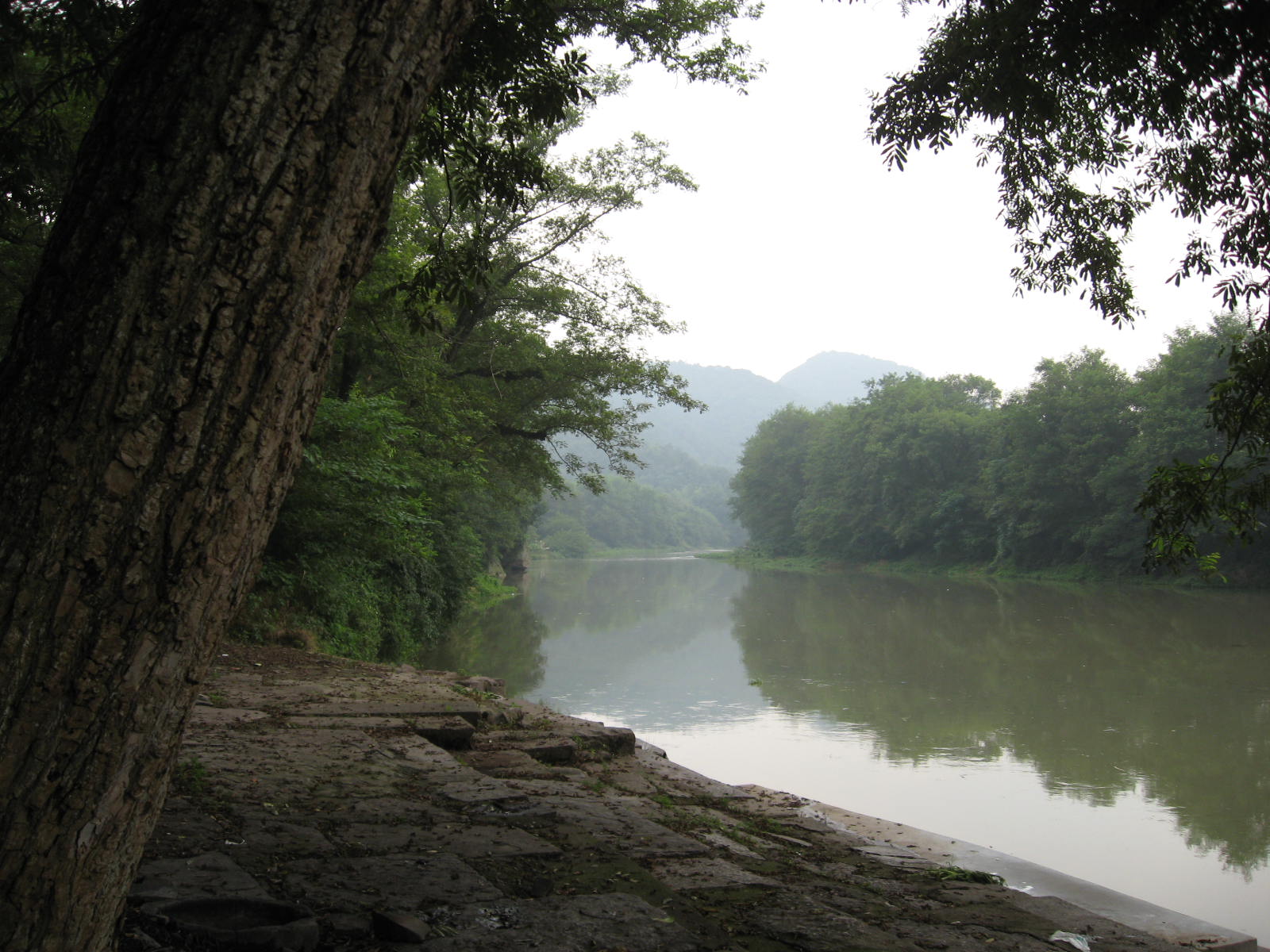 IMG_1415.JPG