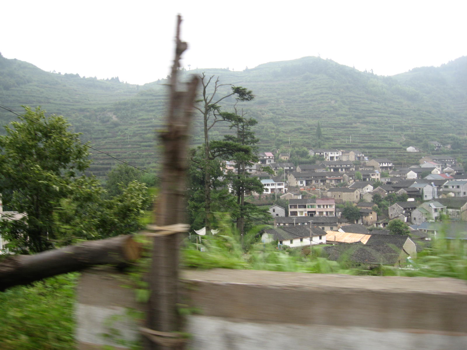 IMG_1245.JPG